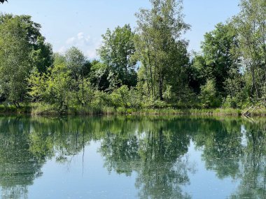 Eski Ren Doğa Parkı, Lustenau (Avusturya) - Vorfruehlings Stimmung im Naturpark Alter Rhein oder Naturpark am Alten Rhein, Lustenau - Oesterreich)