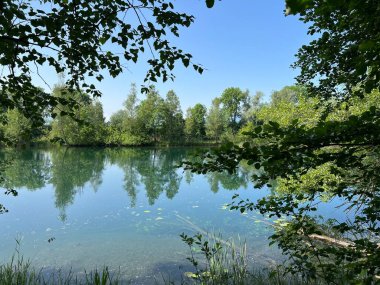 Eski Ren Doğa Parkı, Lustenau (Avusturya) - Vorfruehlings Stimmung im Naturpark Alter Rhein oder Naturpark am Alten Rhein, Lustenau - Oesterreich)