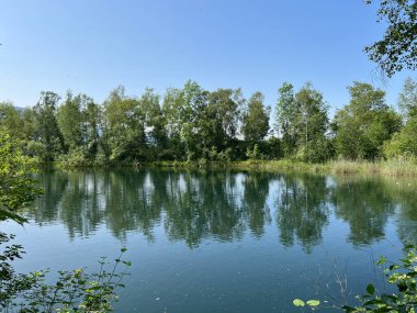 Eski Ren Doğa Parkı, Lustenau (Avusturya) - Vorfruehlings Stimmung im Naturpark Alter Rhein oder Naturpark am Alten Rhein, Lustenau - Oesterreich)