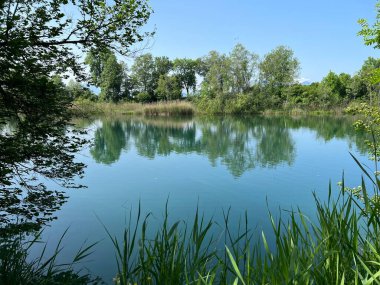 Eski Ren Doğa Parkı, Lustenau (Avusturya) - Vorfruehlings Stimmung im Naturpark Alter Rhein oder Naturpark am Alten Rhein, Lustenau - Oesterreich)