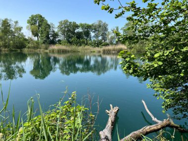 Eski Ren Doğa Parkı, Lustenau (Avusturya) - Vorfruehlings Stimmung im Naturpark Alter Rhein oder Naturpark am Alten Rhein, Lustenau - Oesterreich)