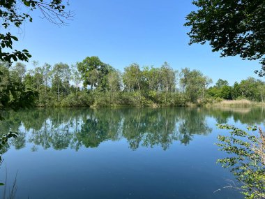 Eski Ren Doğa Parkı, Lustenau (Avusturya) - Vorfruehlings Stimmung im Naturpark Alter Rhein oder Naturpark am Alten Rhein, Lustenau - Oesterreich)