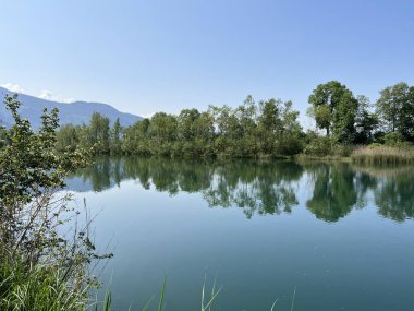 Eski Ren Doğa Parkı, Lustenau (Avusturya) - Vorfruehlings Stimmung im Naturpark Alter Rhein oder Naturpark am Alten Rhein, Lustenau - Oesterreich)