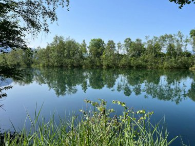 Eski Ren Doğa Parkı, Lustenau (Avusturya) - Vorfruehlings Stimmung im Naturpark Alter Rhein oder Naturpark am Alten Rhein, Lustenau - Oesterreich)