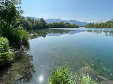 Eski Ren Doğa Parkı, Lustenau (Avusturya) - Vorfruehlings Stimmung im Naturpark Alter Rhein oder Naturpark am Alten Rhein, Lustenau - Oesterreich)