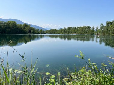 Eski Ren Doğa Parkı, Lustenau (Avusturya) - Vorfruehlings Stimmung im Naturpark Alter Rhein oder Naturpark am Alten Rhein, Lustenau - Oesterreich)