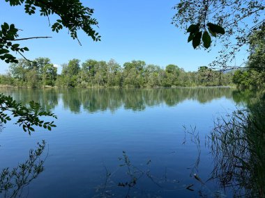 Eski Ren Doğa Parkı, Lustenau (Avusturya) - Vorfruehlings Stimmung im Naturpark Alter Rhein oder Naturpark am Alten Rhein, Lustenau - Oesterreich)