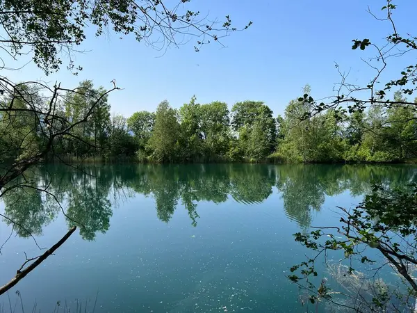 Летняя Атмосфера Старом Рейнском Природном Парке Лустенау Австрия Vorfruehlings Stimmung — стоковое фото