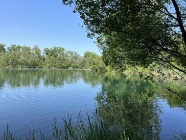 Eski Ren Doğa Parkı, Lustenau (Avusturya) - Vorfruehlings Stimmung im Naturpark Alter Rhein oder Naturpark am Alten Rhein, Lustenau - Oesterreich)