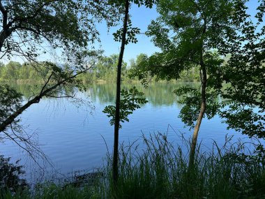 Eski Ren Doğa Parkı, Lustenau (Avusturya) - Vorfruehlings Stimmung im Naturpark Alter Rhein oder Naturpark am Alten Rhein, Lustenau - Oesterreich)