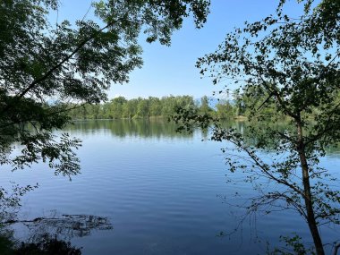 Eski Ren Doğa Parkı, Lustenau (Avusturya) - Vorfruehlings Stimmung im Naturpark Alter Rhein oder Naturpark am Alten Rhein, Lustenau - Oesterreich)