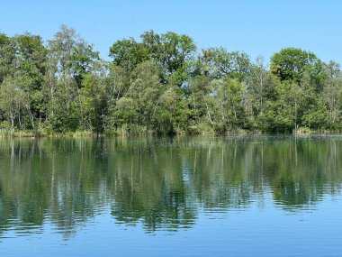 Eski Ren Doğa Parkı, Lustenau (Avusturya) - Vorfruehlings Stimmung im Naturpark Alter Rhein oder Naturpark am Alten Rhein, Lustenau - Oesterreich)