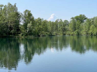 Eski Ren Doğa Parkı, Lustenau (Avusturya) - Vorfruehlings Stimmung im Naturpark Alter Rhein oder Naturpark am Alten Rhein, Lustenau - Oesterreich)