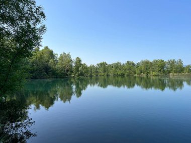 Eski Ren Doğa Parkı, Lustenau (Avusturya) - Vorfruehlings Stimmung im Naturpark Alter Rhein oder Naturpark am Alten Rhein, Lustenau - Oesterreich)