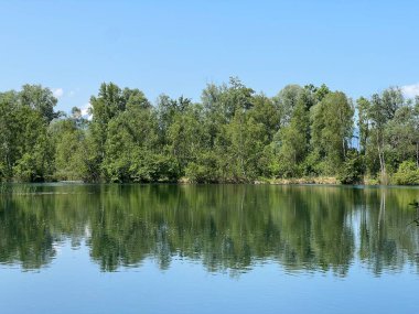 Eski Ren Doğa Parkı, Lustenau (Avusturya) - Vorfruehlings Stimmung im Naturpark Alter Rhein oder Naturpark am Alten Rhein, Lustenau - Oesterreich)