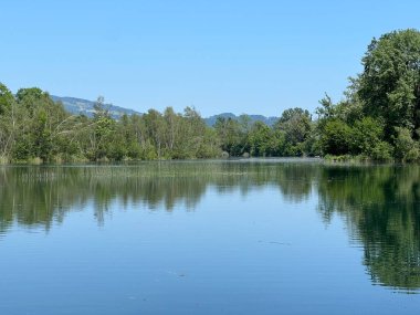 Eski Ren Doğa Parkı, Lustenau (Avusturya) - Vorfruehlings Stimmung im Naturpark Alter Rhein oder Naturpark am Alten Rhein, Lustenau - Oesterreich)