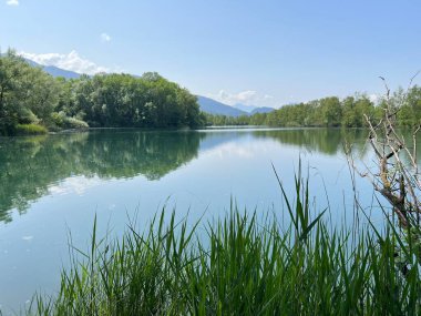 Eski Ren Doğa Parkı, Lustenau (Avusturya) - Vorfruehlings Stimmung im Naturpark Alter Rhein oder Naturpark am Alten Rhein, Lustenau - Oesterreich)