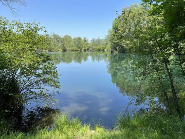 Eski Ren Doğa Parkı, Lustenau (Avusturya) - Vorfruehlings Stimmung im Naturpark Alter Rhein oder Naturpark am Alten Rhein, Lustenau - Oesterreich)