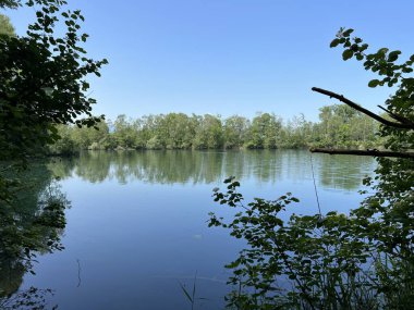 Eski Ren Doğa Parkı, Lustenau (Avusturya) - Vorfruehlings Stimmung im Naturpark Alter Rhein oder Naturpark am Alten Rhein, Lustenau - Oesterreich)