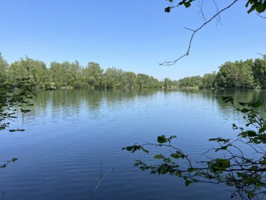 Eski Ren Doğa Parkı, Lustenau (Avusturya) - Vorfruehlings Stimmung im Naturpark Alter Rhein oder Naturpark am Alten Rhein, Lustenau - Oesterreich)
