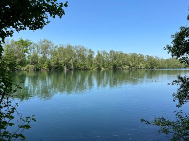 Eski Ren Doğa Parkı, Lustenau (Avusturya) - Vorfruehlings Stimmung im Naturpark Alter Rhein oder Naturpark am Alten Rhein, Lustenau - Oesterreich)