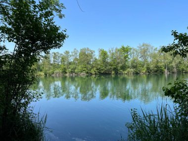 Eski Ren Doğa Parkı, Lustenau (Avusturya) - Vorfruehlings Stimmung im Naturpark Alter Rhein oder Naturpark am Alten Rhein, Lustenau - Oesterreich)