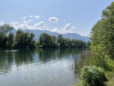 Eski Ren Doğa Parkı, Lustenau (Avusturya) - Vorfruehlings Stimmung im Naturpark Alter Rhein oder Naturpark am Alten Rhein, Lustenau - Oesterreich)
