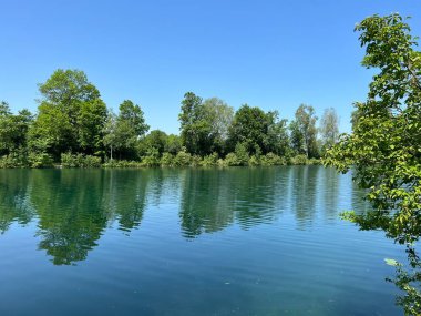 Eski Ren Doğa Parkı, Lustenau (Avusturya) - Vorfruehlings Stimmung im Naturpark Alter Rhein oder Naturpark am Alten Rhein, Lustenau - Oesterreich)