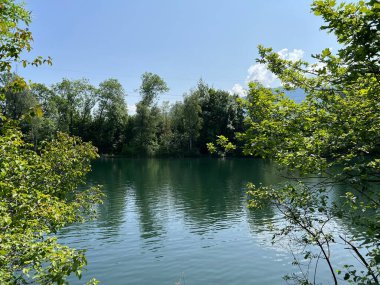 Eski Ren Doğa Parkı, Lustenau (Avusturya) - Vorfruehlings Stimmung im Naturpark Alter Rhein oder Naturpark am Alten Rhein, Lustenau - Oesterreich)