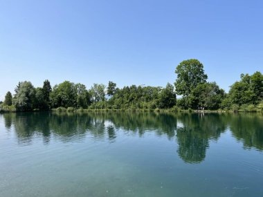 Eski Ren Doğa Parkı, Lustenau (Avusturya) - Vorfruehlings Stimmung im Naturpark Alter Rhein oder Naturpark am Alten Rhein, Lustenau - Oesterreich)