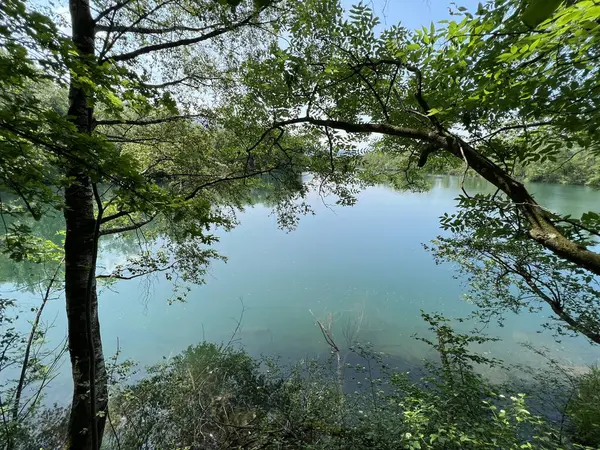 Eski Ren Doğa Parkı, Lustenau (Avusturya) - Vorfruehlings Stimmung im Naturpark Alter Rhein oder Naturpark am Alten Rhein, Lustenau - Oesterreich)