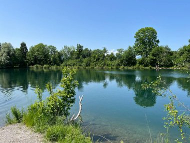 Eski Ren Doğa Parkı, Lustenau (Avusturya) - Vorfruehlings Stimmung im Naturpark Alter Rhein oder Naturpark am Alten Rhein, Lustenau - Oesterreich)