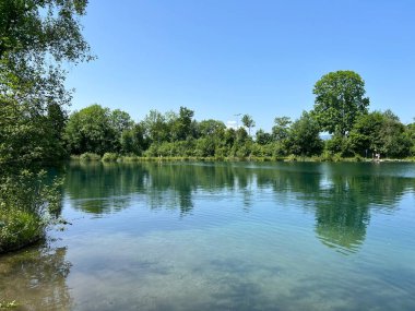 Eski Ren Doğa Parkı, Lustenau (Avusturya) - Vorfruehlings Stimmung im Naturpark Alter Rhein oder Naturpark am Alten Rhein, Lustenau - Oesterreich)