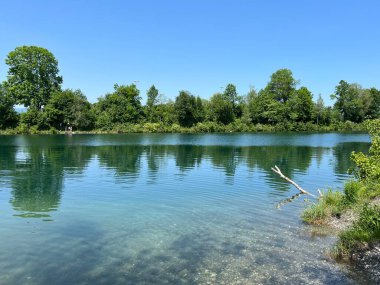 Eski Ren Doğa Parkı, Lustenau (Avusturya) - Vorfruehlings Stimmung im Naturpark Alter Rhein oder Naturpark am Alten Rhein, Lustenau - Oesterreich)