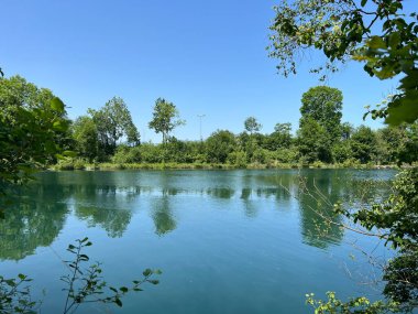 Eski Ren Doğa Parkı, Lustenau (Avusturya) - Vorfruehlings Stimmung im Naturpark Alter Rhein oder Naturpark am Alten Rhein, Lustenau - Oesterreich)