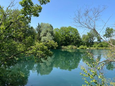 Eski Ren Doğa Parkı, Lustenau (Avusturya) - Vorfruehlings Stimmung im Naturpark Alter Rhein oder Naturpark am Alten Rhein, Lustenau - Oesterreich)