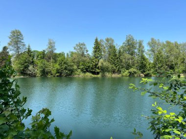 Eski Ren Doğa Parkı, Lustenau (Avusturya) - Vorfruehlings Stimmung im Naturpark Alter Rhein oder Naturpark am Alten Rhein, Lustenau - Oesterreich)