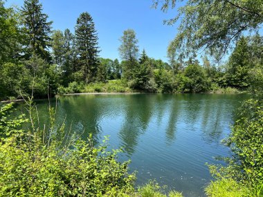 Eski Ren Doğa Parkı, Lustenau (Avusturya) - Vorfruehlings Stimmung im Naturpark Alter Rhein oder Naturpark am Alten Rhein, Lustenau - Oesterreich)