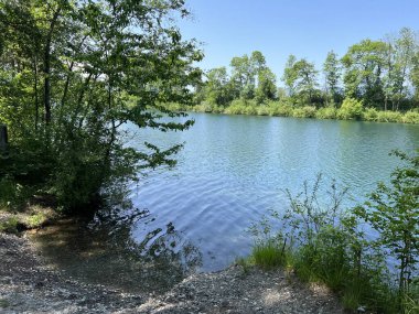 Eski Ren Doğa Parkı, Lustenau (Avusturya) - Vorfruehlings Stimmung im Naturpark Alter Rhein oder Naturpark am Alten Rhein, Lustenau - Oesterreich)