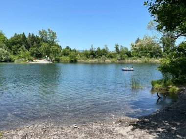 Eski Ren Doğa Parkı, Lustenau (Avusturya) - Vorfruehlings Stimmung im Naturpark Alter Rhein oder Naturpark am Alten Rhein, Lustenau - Oesterreich)