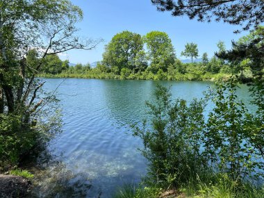 Eski Ren Doğa Parkı, Lustenau (Avusturya) - Vorfruehlings Stimmung im Naturpark Alter Rhein oder Naturpark am Alten Rhein, Lustenau - Oesterreich)