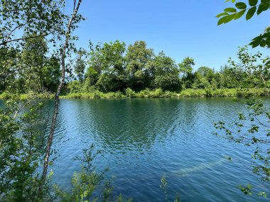 Eski Ren Doğa Parkı, Lustenau (Avusturya) - Vorfruehlings Stimmung im Naturpark Alter Rhein oder Naturpark am Alten Rhein, Lustenau - Oesterreich)