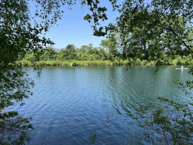 Eski Ren Doğa Parkı, Lustenau (Avusturya) - Vorfruehlings Stimmung im Naturpark Alter Rhein oder Naturpark am Alten Rhein, Lustenau - Oesterreich)