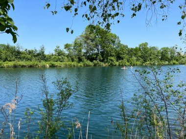 Eski Ren Doğa Parkı, Lustenau (Avusturya) - Vorfruehlings Stimmung im Naturpark Alter Rhein oder Naturpark am Alten Rhein, Lustenau - Oesterreich)