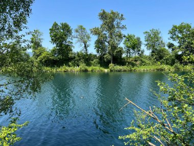 Eski Ren Doğa Parkı, Lustenau (Avusturya) - Vorfruehlings Stimmung im Naturpark Alter Rhein oder Naturpark am Alten Rhein, Lustenau - Oesterreich)