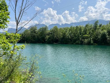 Eski Ren Doğa Parkı, Lustenau (Avusturya) - Vorfruehlings Stimmung im Naturpark Alter Rhein oder Naturpark am Alten Rhein, Lustenau - Oesterreich)