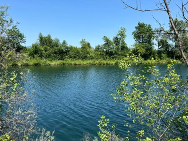 Eski Ren Doğa Parkı, Lustenau (Avusturya) - Vorfruehlings Stimmung im Naturpark Alter Rhein oder Naturpark am Alten Rhein, Lustenau - Oesterreich)