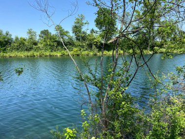 Eski Ren Doğa Parkı, Lustenau (Avusturya) - Vorfruehlings Stimmung im Naturpark Alter Rhein oder Naturpark am Alten Rhein, Lustenau - Oesterreich)