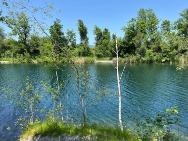 Eski Ren Doğa Parkı, Lustenau (Avusturya) - Vorfruehlings Stimmung im Naturpark Alter Rhein oder Naturpark am Alten Rhein, Lustenau - Oesterreich)