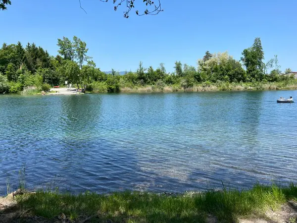 stock image Summer atmosphere in the Old Rhine Nature Park, Lustenau (Austria) - Vorfruehlings Stimmung im Naturpark Alter Rhein oder Naturpark am Alten Rhein, Lustenau - Oesterreich (Osterreich)